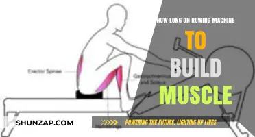 Rowing Machine Workouts: Building Muscle Endurance Efficiently