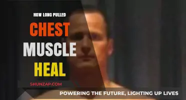 Pulled Chest Muscle Recovery: Healing Time and Effective Treatment Tips