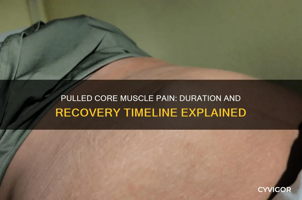 how long pulled core muscles hurt