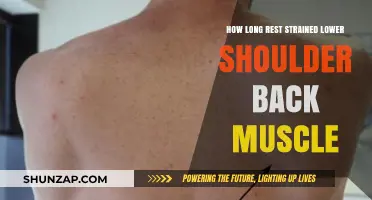 Relief Timeline: How Long to Rest a Strained Lower Shoulder Back Muscle