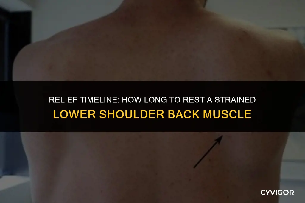 how long rest strained lower shoulder back muscle