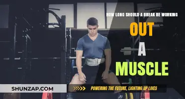 Optimal Rest Time: How Long Should Breaks Be When Working Out Muscles?