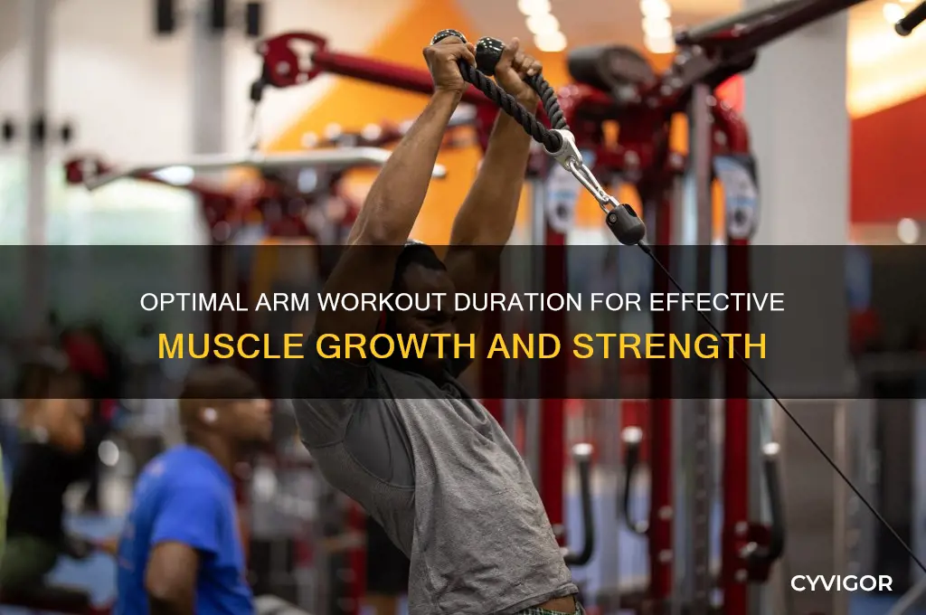 how long should i do arm workouts to gain muscle