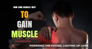 Optimal Rest for Muscle Growth: Timing Your Recovery Right