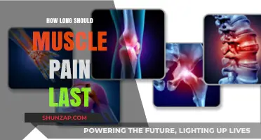Understanding Muscle Pain Duration: When to Expect Relief and Seek Help