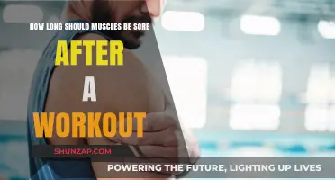 Understanding Post-Workout Muscle Soreness Duration and Recovery Tips