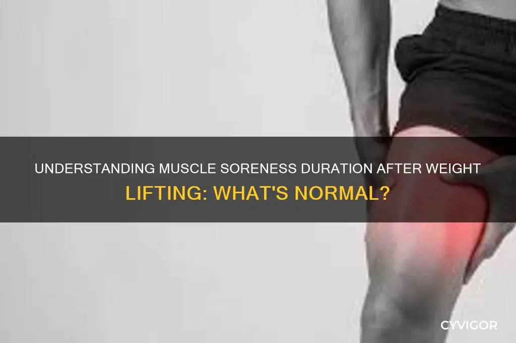 how long should muscles be sore after lifting weights