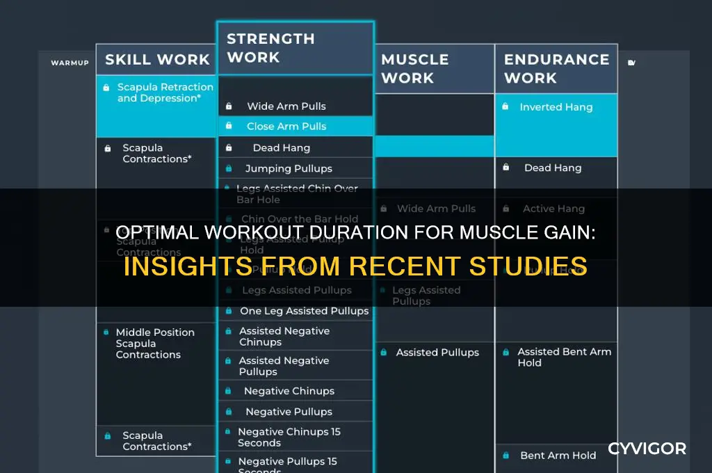 how long should workouts be gain muscle study