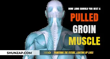 Pulled Groin Muscle Recovery: Optimal Rest Time for Healing