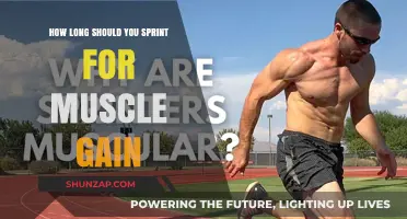 Sprint Duration for Muscle Gain: Optimal Time to Maximize Results