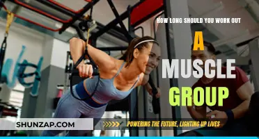 Optimal Muscle Group Workout Duration for Strength and Recovery