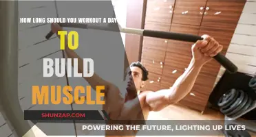 Optimal Workout Duration for Muscle Building: A Comprehensive Guide