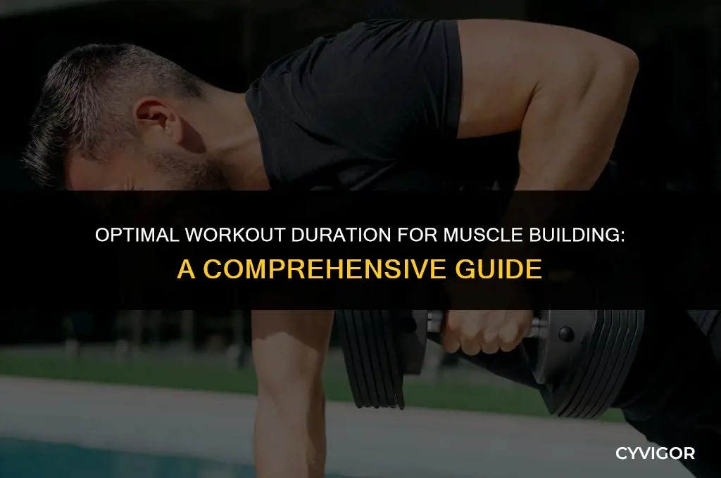 how long should you workout to build muscle