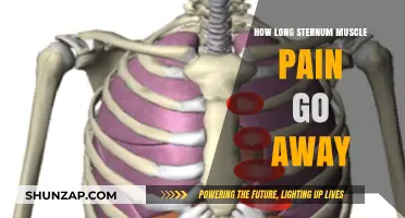 Sternum Muscle Pain Relief: How Long Does Recovery Typically Take?