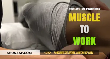 Pulled Back Muscle Recovery Time: What to Expect and How to Heal