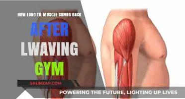 Regaining Muscle Tone: A Timeline for Fitness Enthusiasts