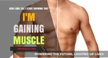 When Will Your Muscle Gains Become Noticeable? A Timeline
