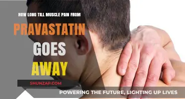 Pravastatin Muscle Pain: How Long Does Relief Typically Take?