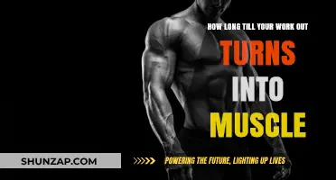 Transforming Sweat into Strength: Understanding Muscle Growth Timelines