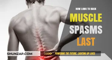 Understanding Back Muscle Spasms: Duration and Relief Tips