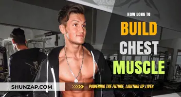 Sculpting Strength: The Timeline to Building Impressive Chest Muscles