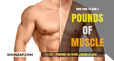 Building Muscle: How Long Does It Take to Gain 3 Pounds?