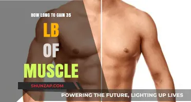 Effective Muscle Building: Timeline for Gaining 35 Pounds of Muscle