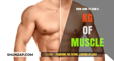 Effective Muscle Building: Timeframe to Gain 5 kg of Muscle Mass