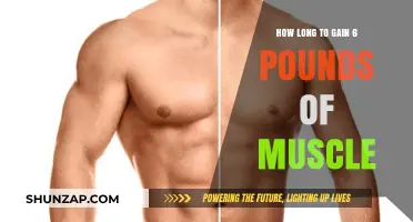 Effective Muscle Building: Timeframe to Gain 6 Pounds of Muscle