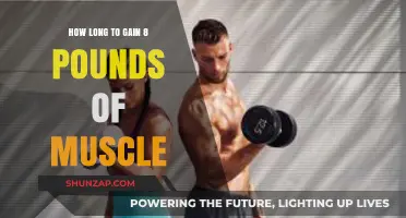 Effective Muscle Building: Timeframe to Gain 8 Pounds of Muscle
