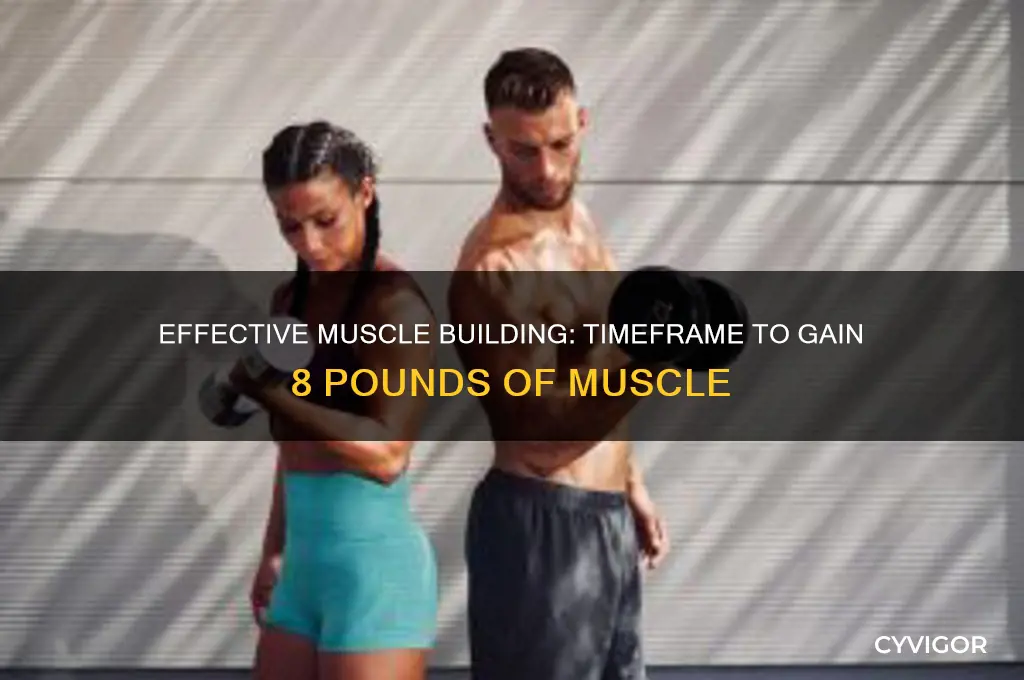 how long to gain 8 pounds of muscle