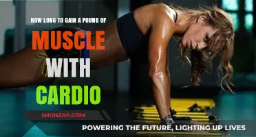 Cardio and Muscle Gain: How Long to Build a Pound?