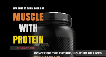 Building Muscle: Protein's Role in Gaining a Pound of Mass