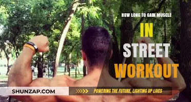Street Workout Muscle Gain Timeline: Building Strength Naturally