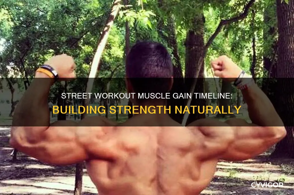 how long to gain muscle in street workout