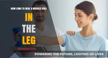 Healing a Pulled Leg Muscle: Recovery Time and Tips