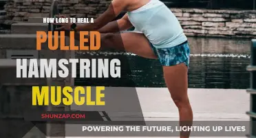 Pulled Hamstring Recovery: Understanding Healing Time and Effective Rehabilitation