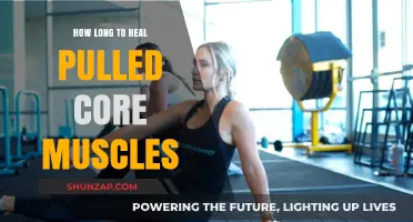 Pulled Core Muscles Recovery Time: What to Expect and How to Heal