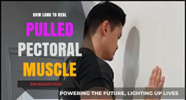 Pulled Pectoral Muscle Recovery Time: What to Expect and How to Heal