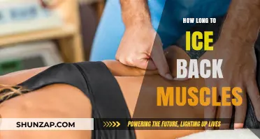 Relief in Minutes: The Optimal Icing Duration for Sore Back Muscles