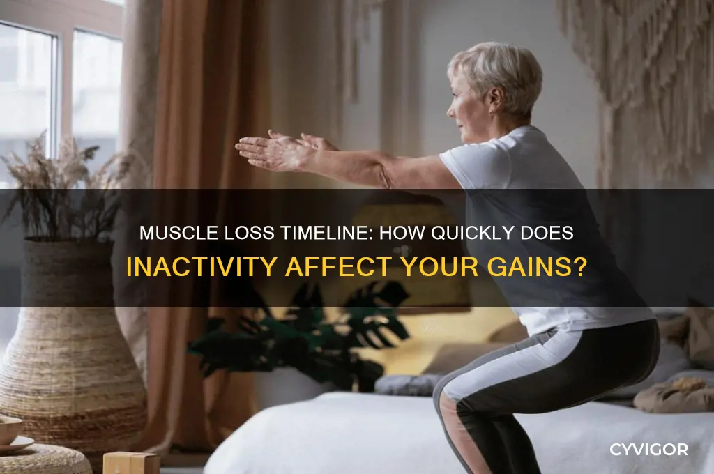 how long to lose muscle without working out