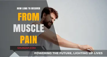 Muscle Pain Recovery Time: Factors Affecting Healing and Relief Duration