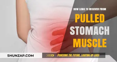 Pulled Stomach Muscle Recovery: Timelines, Tips, and Healing Strategies