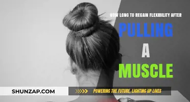 Recovering Flexibility: Timeline After a Pulled Muscle and Tips