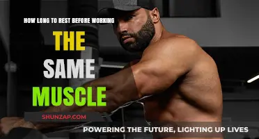 Optimal Rest Time: How Long Before Working the Same Muscle Again?