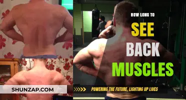 Sculpting Your Back: The Timeline to Visible Muscle Definition