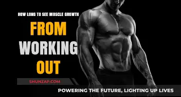 How Long Does It Take to Notice Muscle Growth from Working Out?