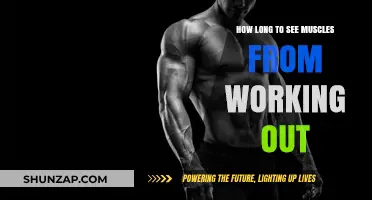 How Long Does It Take to See Muscle Growth from Working Out?