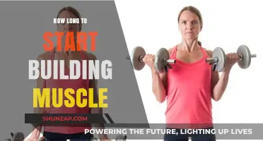 From Skinny to Strong: The Muscle-Building Timeline Unveiled