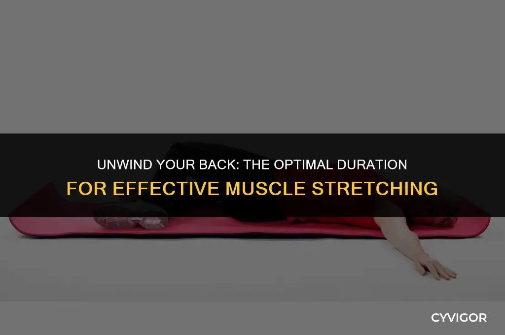 how long to stretch back muscles